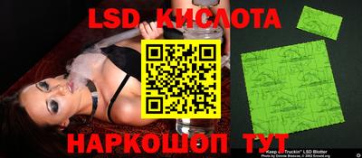 шишки Новозыбков