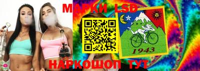 шишки Новозыбков