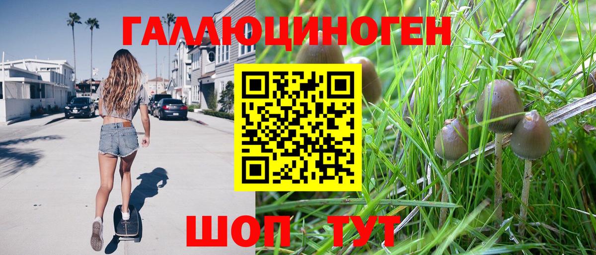 Галлюциногенные грибы Magic Shrooms Обь