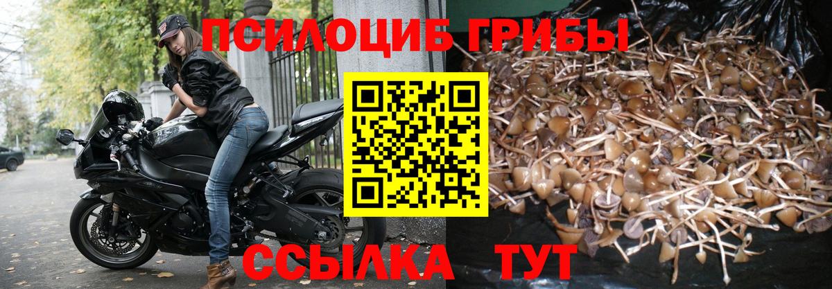 Галлюциногенные грибы прущие грибы  Вход с VPN  Обь 