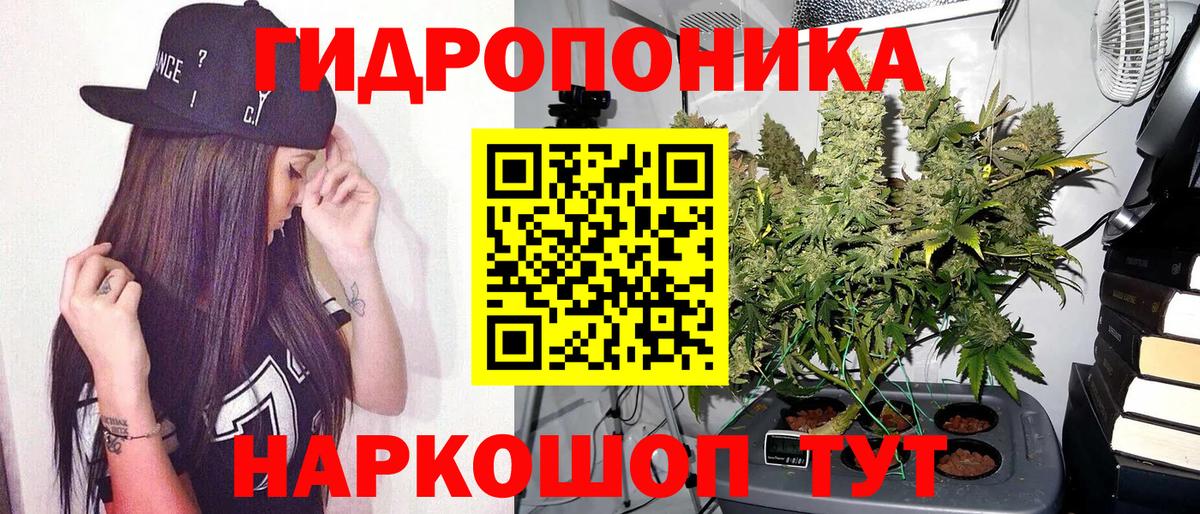 Марихуана сатива  Вход с VPN  МАРИХУАНА планчик  Обь  Бошки марихуана сатива 